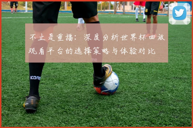 不止是重播：深度分析世界杯回放观看平台的选择策略与体验对比