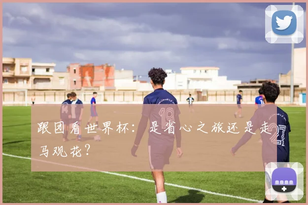 跟团看世界杯：是省心之旅还是走马观花？