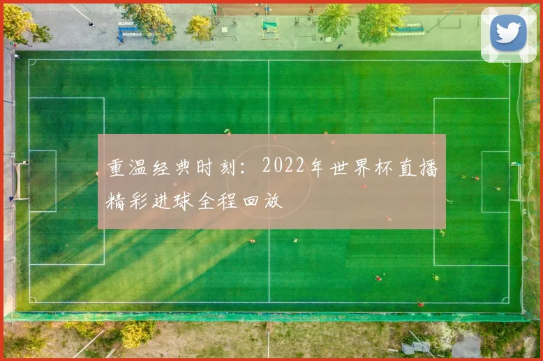 重温经典时刻：2022年世界杯直播精彩进球全程回放