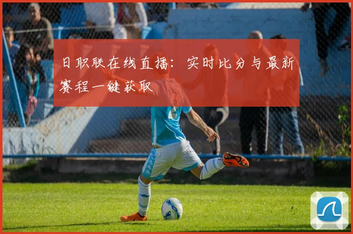 日职联在线直播：实时比分与最新赛程一键获取