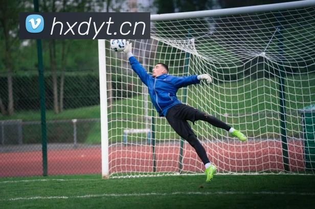 云开体app官网入口APP 封面图